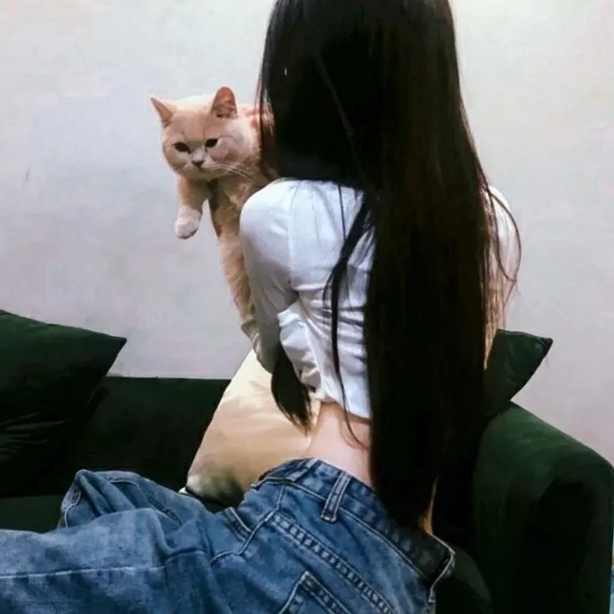 穿书自救指南第一季